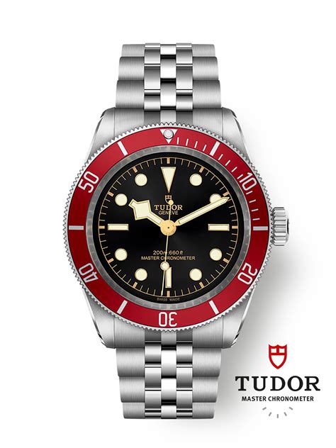 tudor black bay wertentwicklung|tudor black bay.